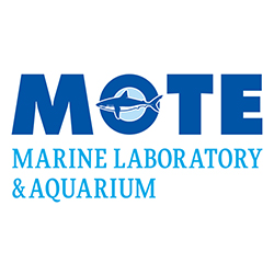 Mote
