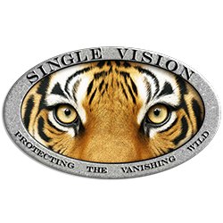 Single Vision