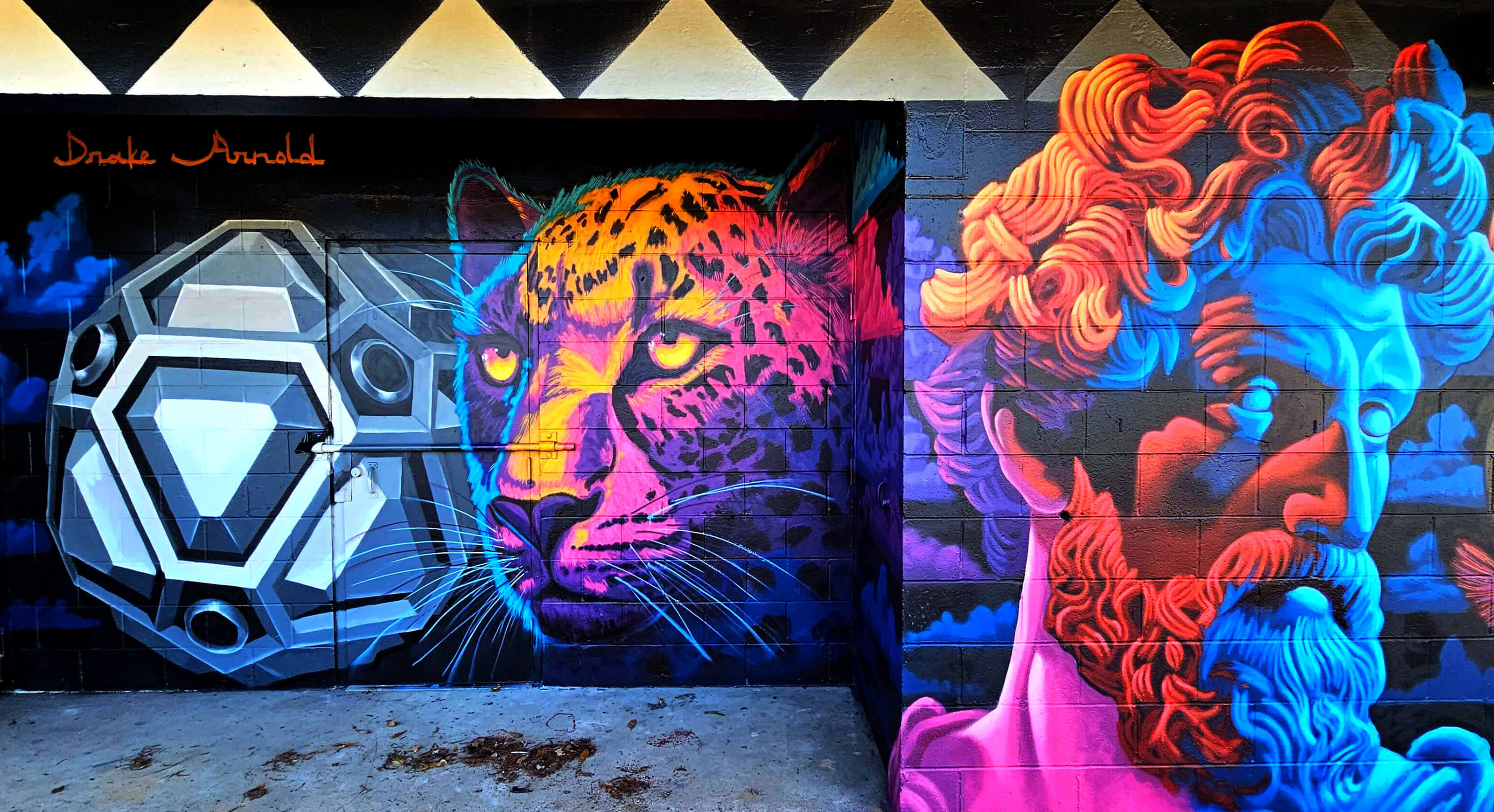 Ocala Florida Marion County Mural Artist Muralist Drake Arnold Art 